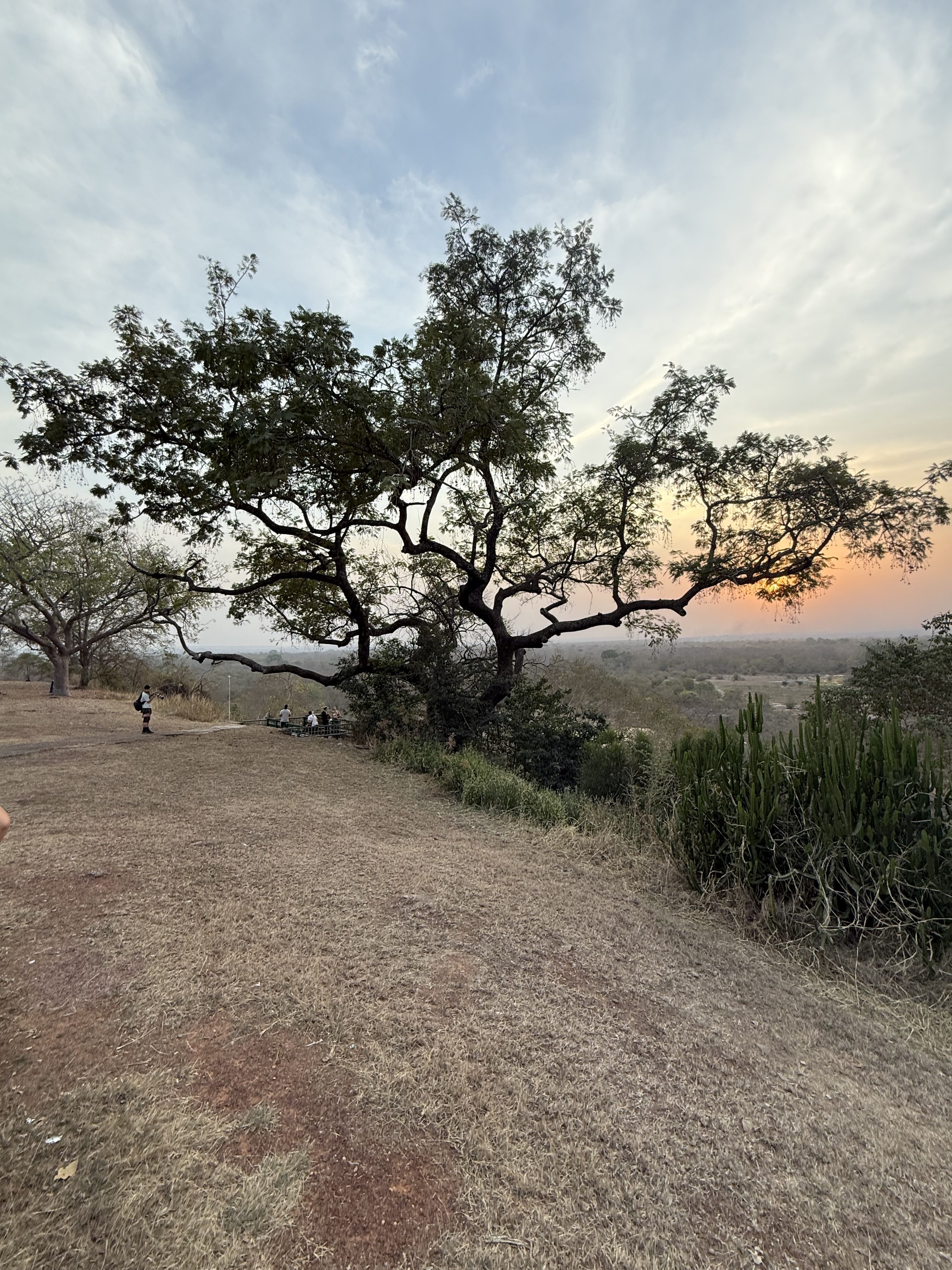 Larabanga und Tamale –  Mole Nationalpark